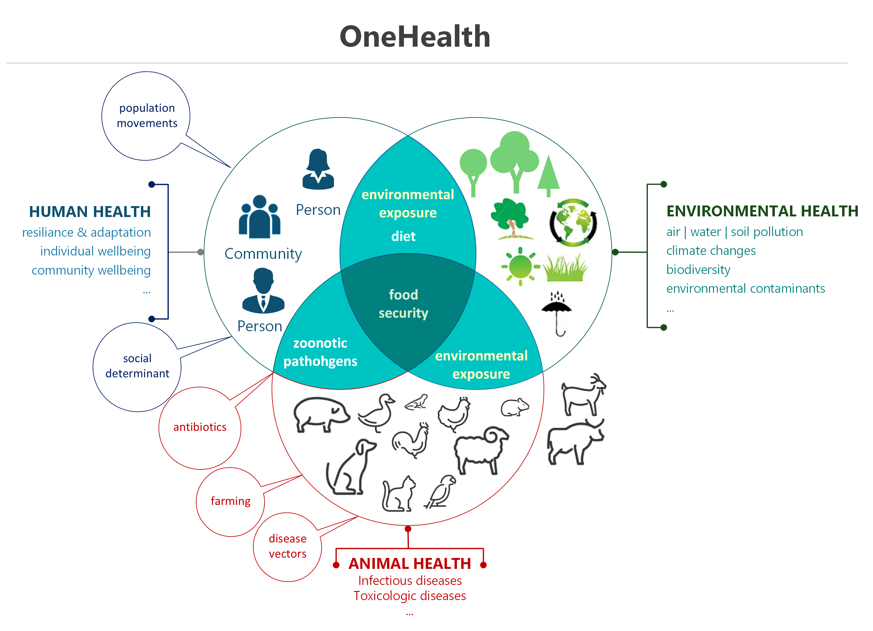 					View Vol. 46 No. Suppl. 2 (2024): Collaborative Health Applications Across Disciplines: People, Animals, and Ecosystems
				